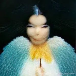 Meet your Posher, Lani